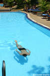Best Western Phuket Ocean Resort 